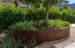 Grote Adezz Ellipse Cortenstaal Plantenbak Ovaal met bodem, gevuld met een boom en planten in een tuinpad.