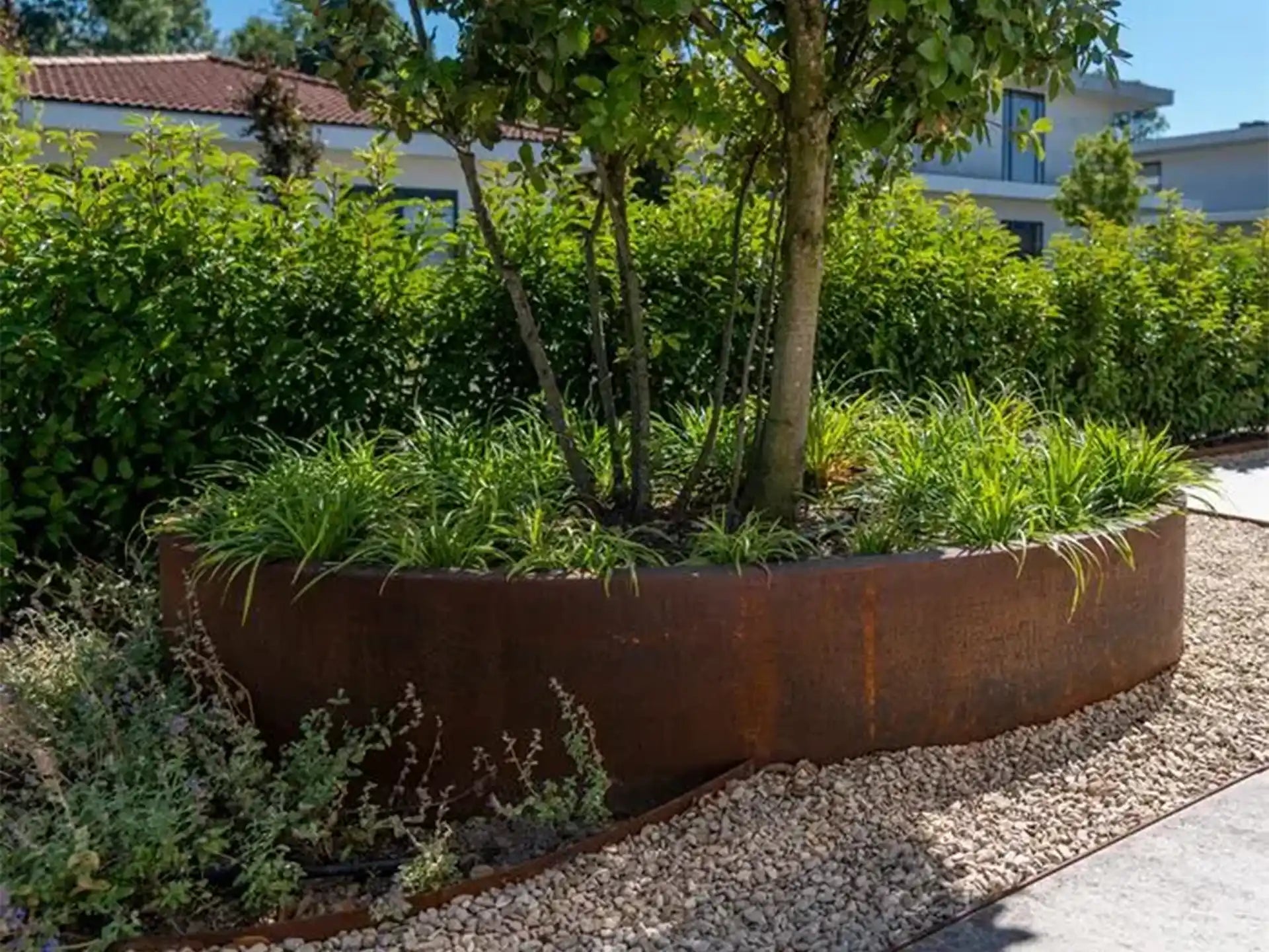 Grote Adezz Ellipse Cortenstaal Plantenbak Ovaal met bodem, gevuld met een boom en planten in een tuinpad.