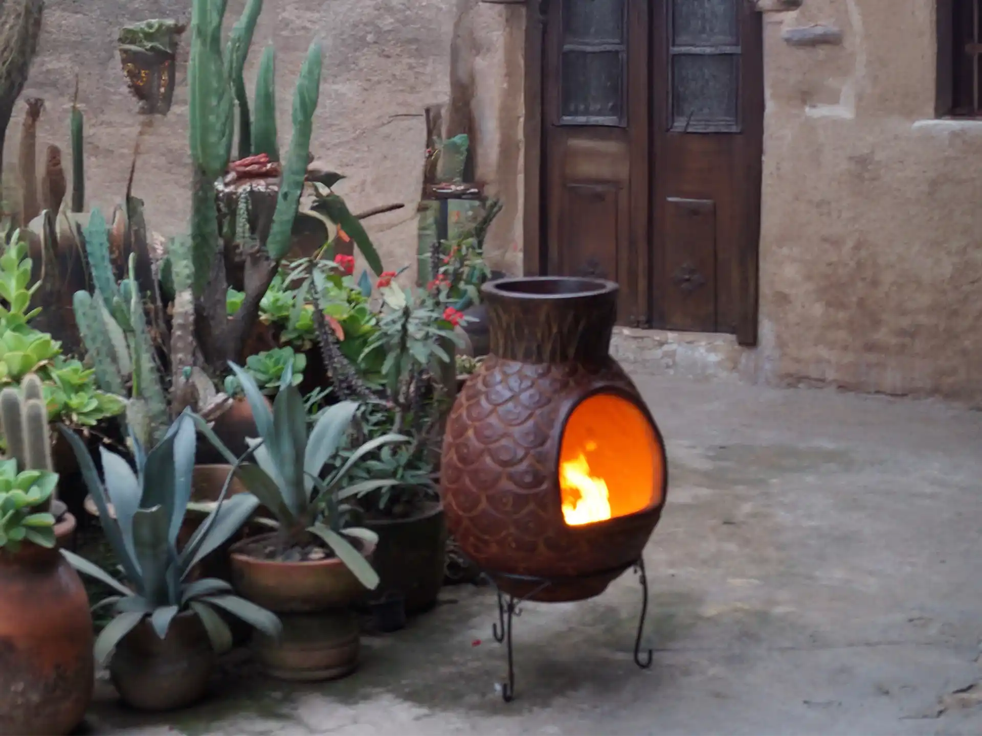 Sol-y-Yo XL-brede cactus terrashaard + voet + hoes 56/110 rood | Mexico Trade