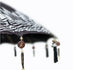 Close-up van de rand van de Todo Bien Bali parasol in zwart met handgeschilderde zilveren details en decoratieve hangers.